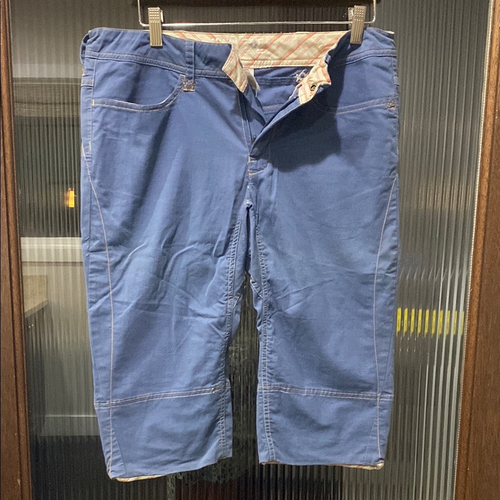 Mountain Hardwear Blue Pants